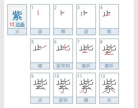 紫笔画|《紫》字笔顺、笔画 ,紫的笔顺,紫有几画，怎么写